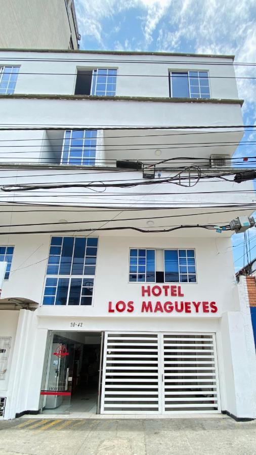 Hotel Los Magueyes Bucaramanga Bagian luar foto