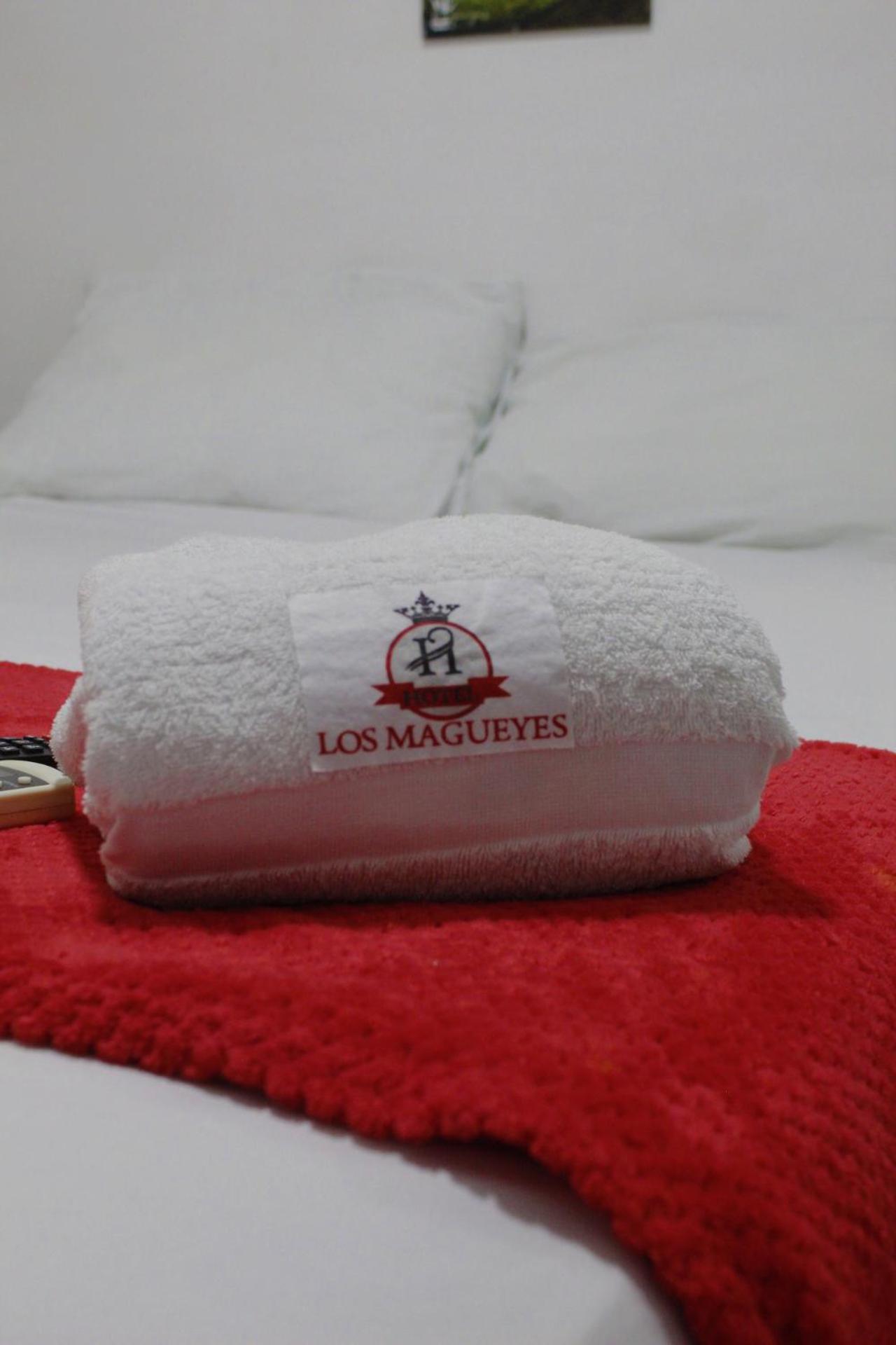 Hotel Los Magueyes Bucaramanga Bagian luar foto